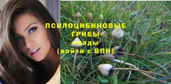 мдма Богданович
